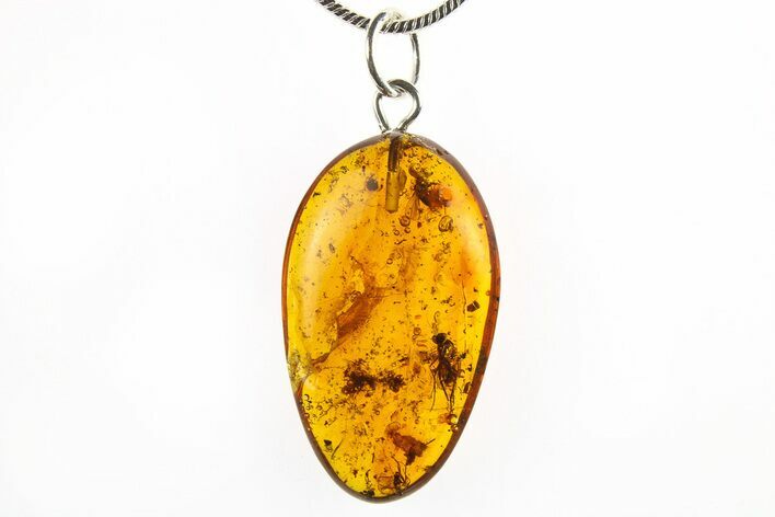 Polished Baltic Amber Pendant (Necklace) - Flies, Spider & Flora! #275807